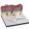 Load image into Gallery viewer, Bloc Notes 3D Love
