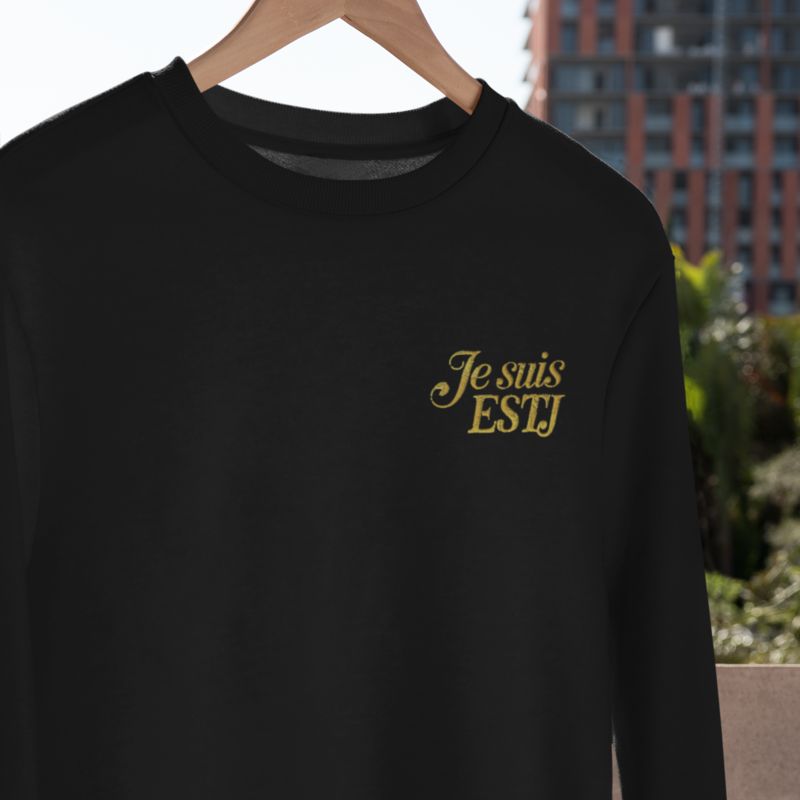 Pull MBTI Je suis ESTJ