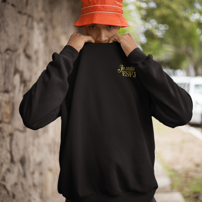 MBTI Sweater I am ESFJ