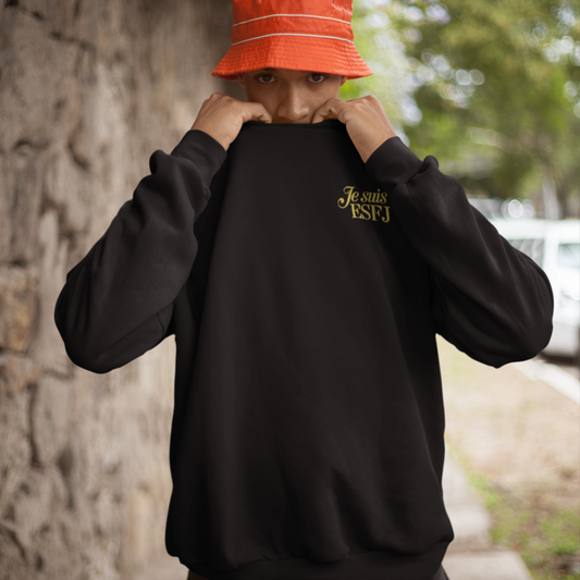 Pull MBTI Je suis ESFJ