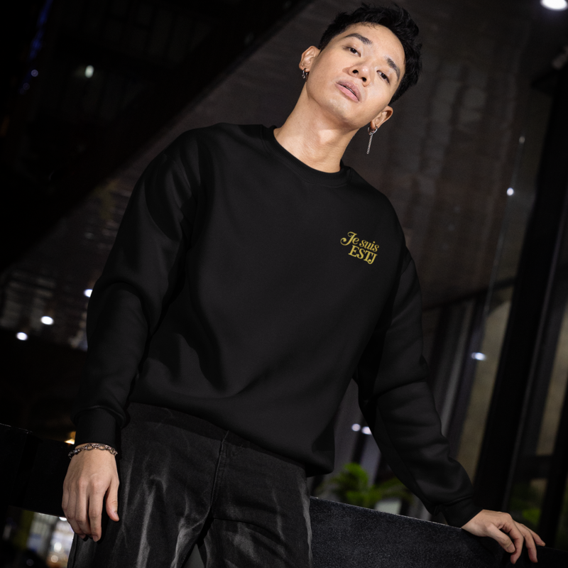 Pull MBTI Je suis ESTJ