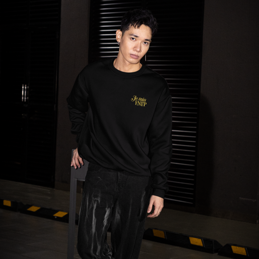 Pull MBTI Je suis ENTP