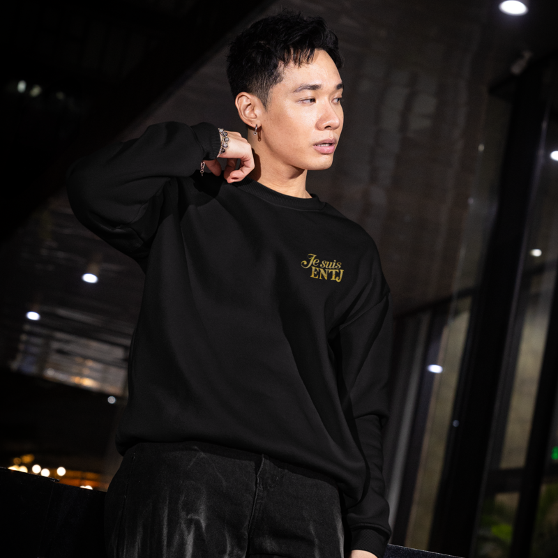 Pull MBTI Je suis ENTJ