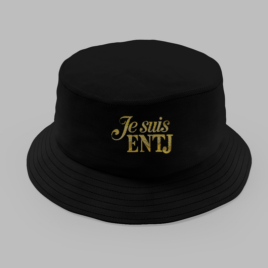 Bob MBTI hat I am ENTJ