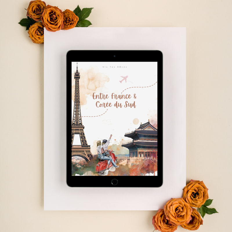 Ebook Comprendre Deux Cultures : France & Corée du Sud