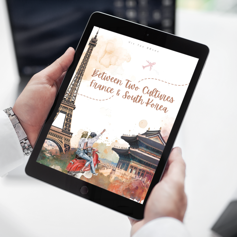 Ebook Comprendre Deux Cultures : France & Corée du Sud