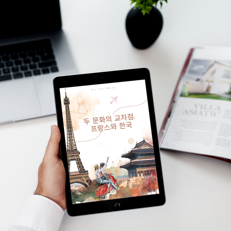 Ebook Comprendre Deux Cultures : France & Corée du Sud