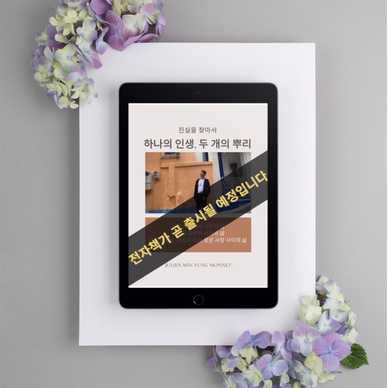 Ebook Autobiographie Coréen Adopté « Une Vie, Deux Racines »