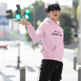 Load image into Gallery viewer, Hoodie Pink Chat Va
