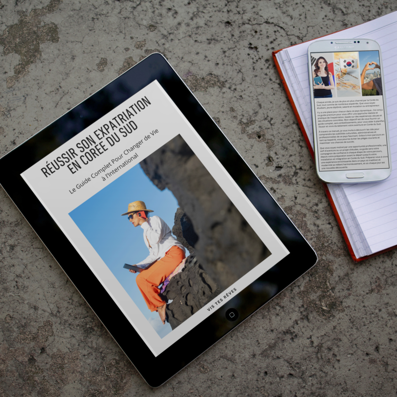 Ebook Réussir Son Expatriation en Corée du Sud