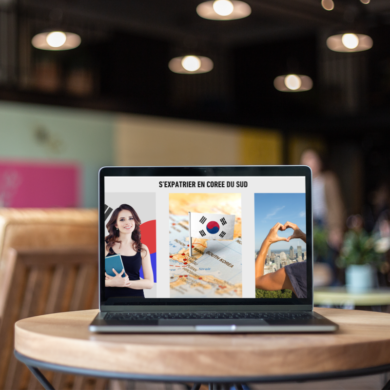 Ebook Réussir Son Expatriation en Corée du Sud